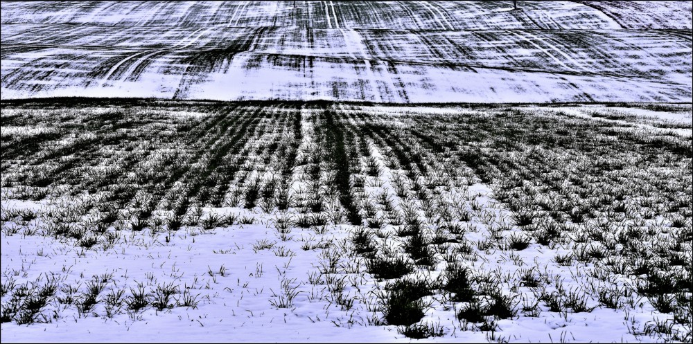 Grafika zimního pole