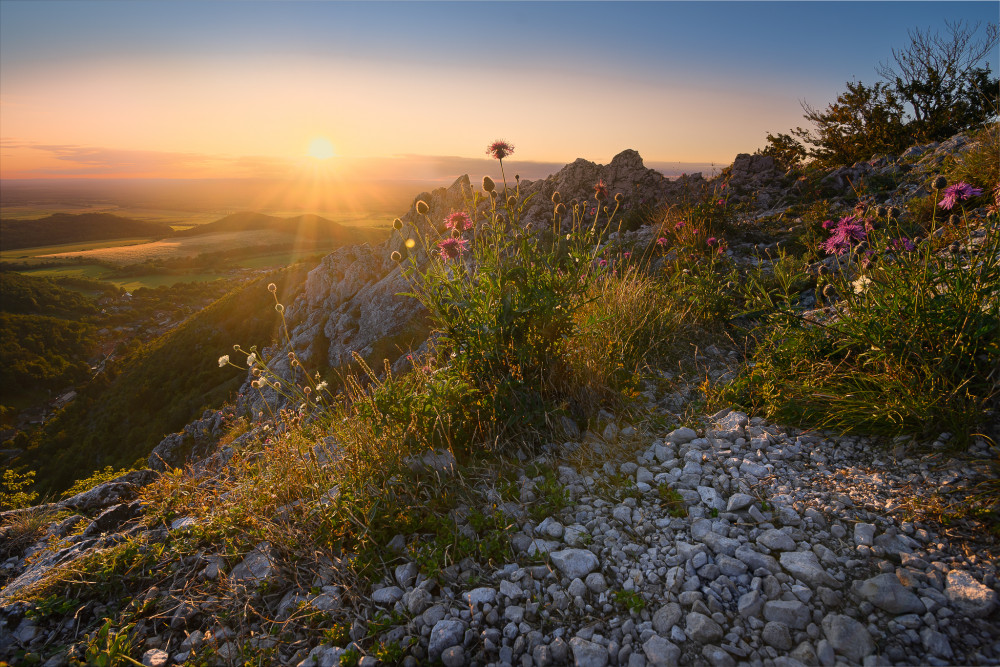 Kršlenica