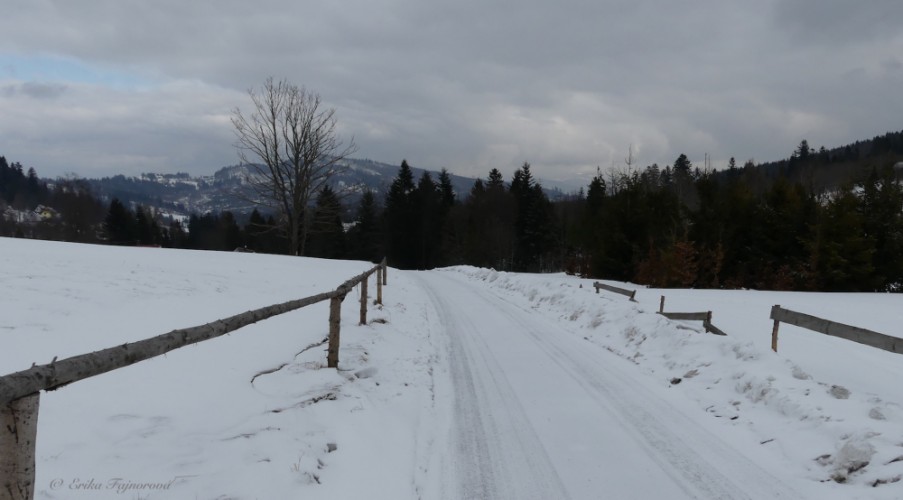 Do Poľska