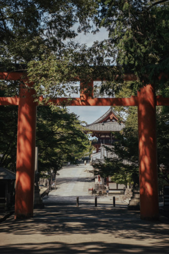 Posvätná brána Torii