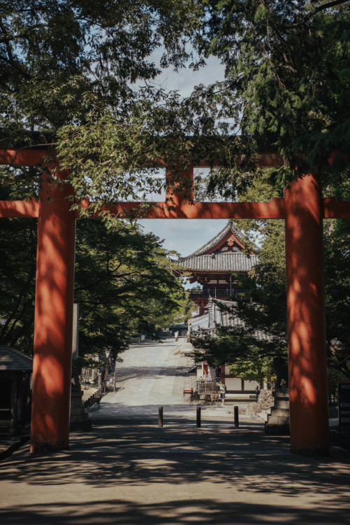 Posvätná brána Torii