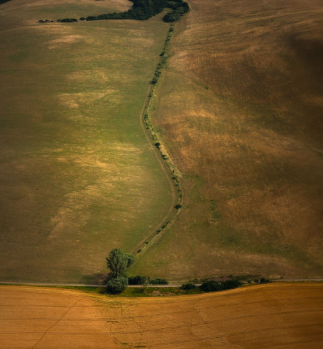 poľná cestička