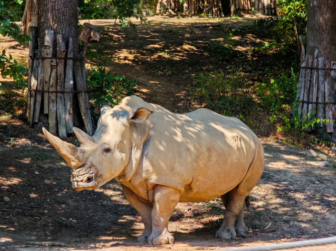 Zoo Lešná