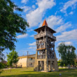 Veľké Kosihy
