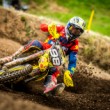 MX
