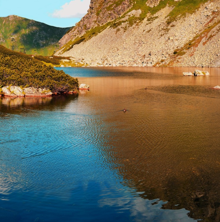 Roháčske pleso