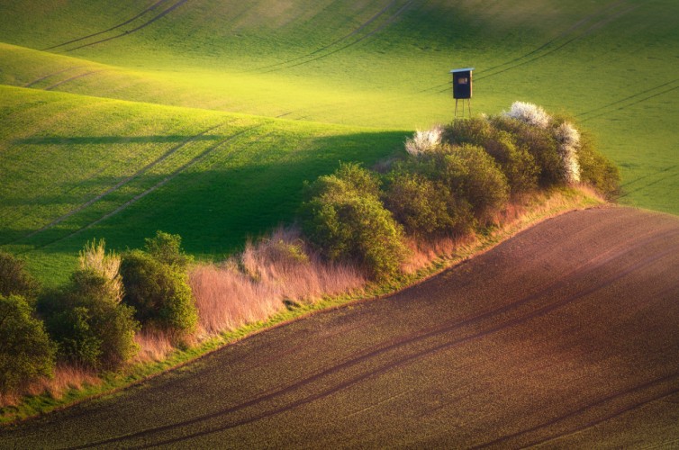 Moravské pohľady IV