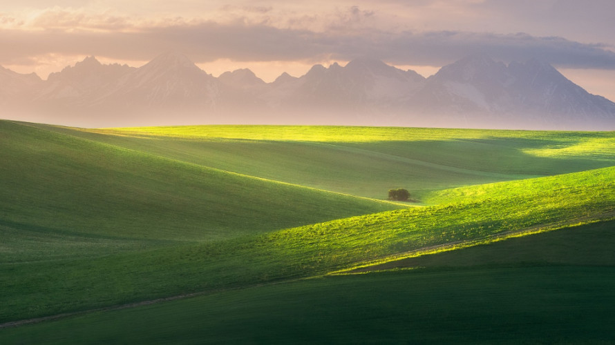 Podtatranské línie