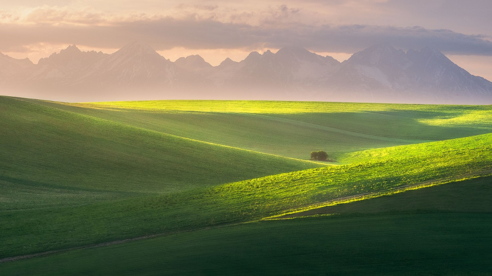 Podtatranské línie