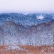 Karpaty