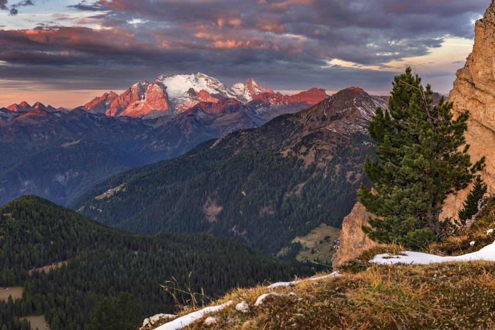 Marmolada