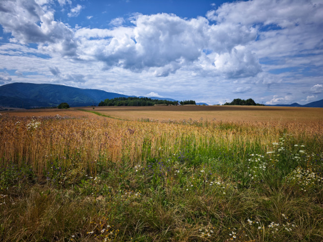 Búrka na Turci