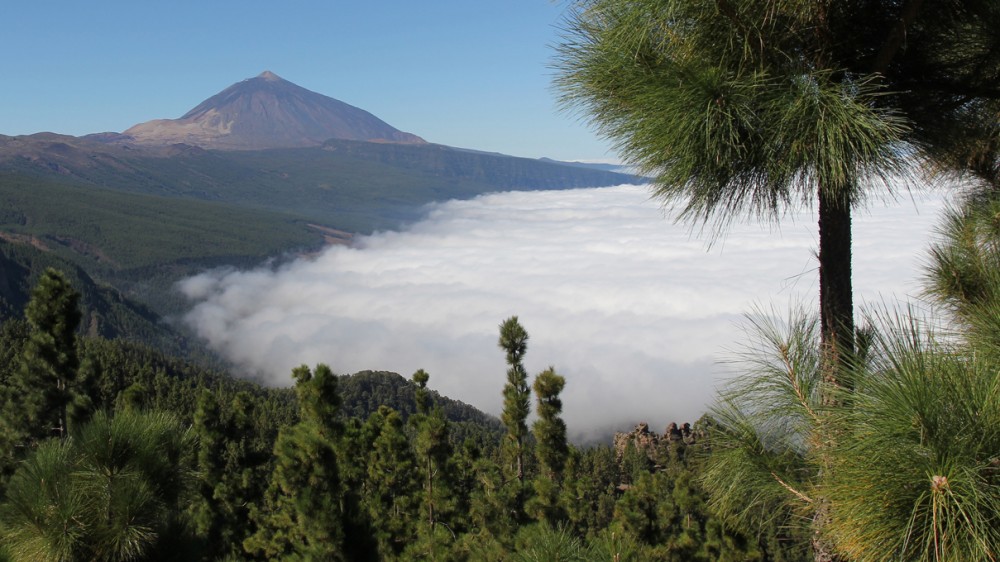 Pico del Teide - Tenerife