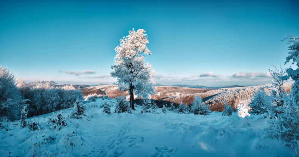 Idylka na Skalnatej