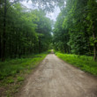 Malé Karpaty