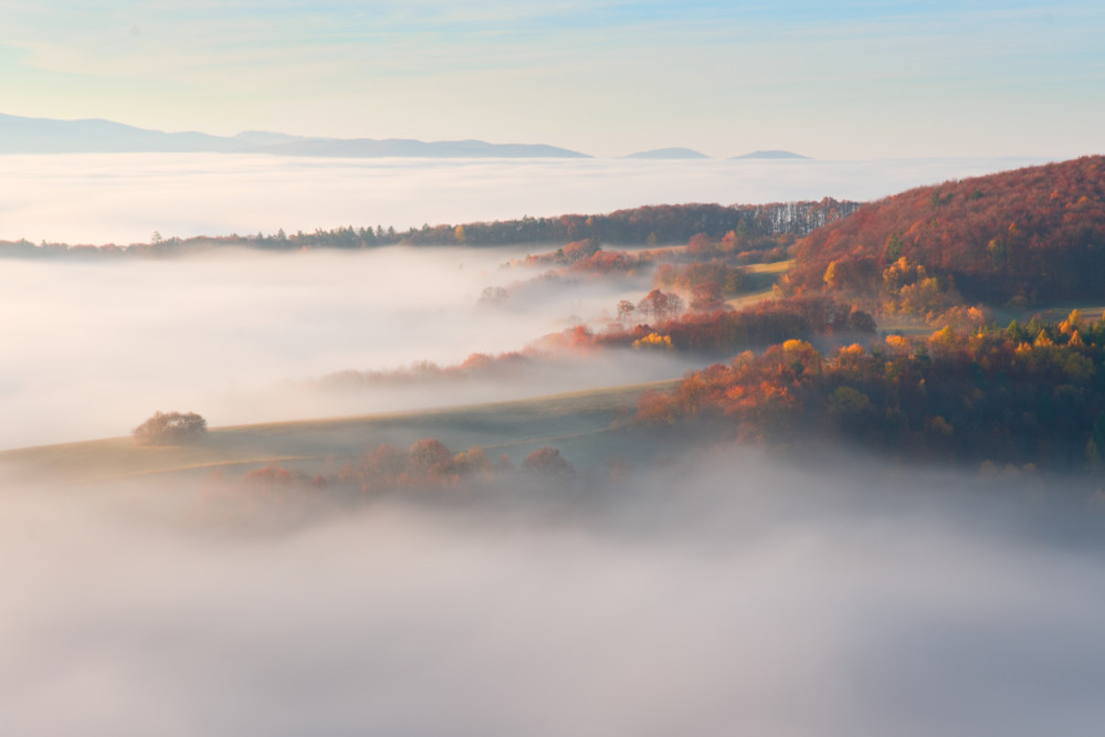 Hranica medzi inverziou a lesom