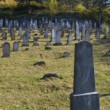 Jewish cemetery Trencin