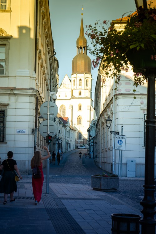 Bazilika sv. Mikuláša Trnava