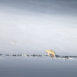 spomienky na Svalbard