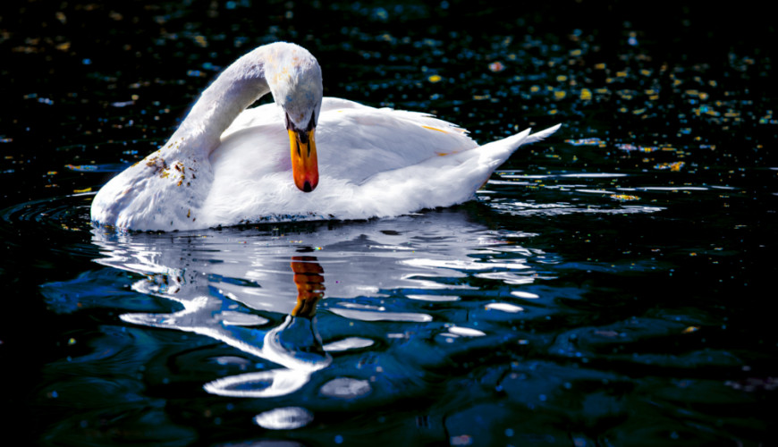 zrkadielko zrkadielko kto je najkrajší.....