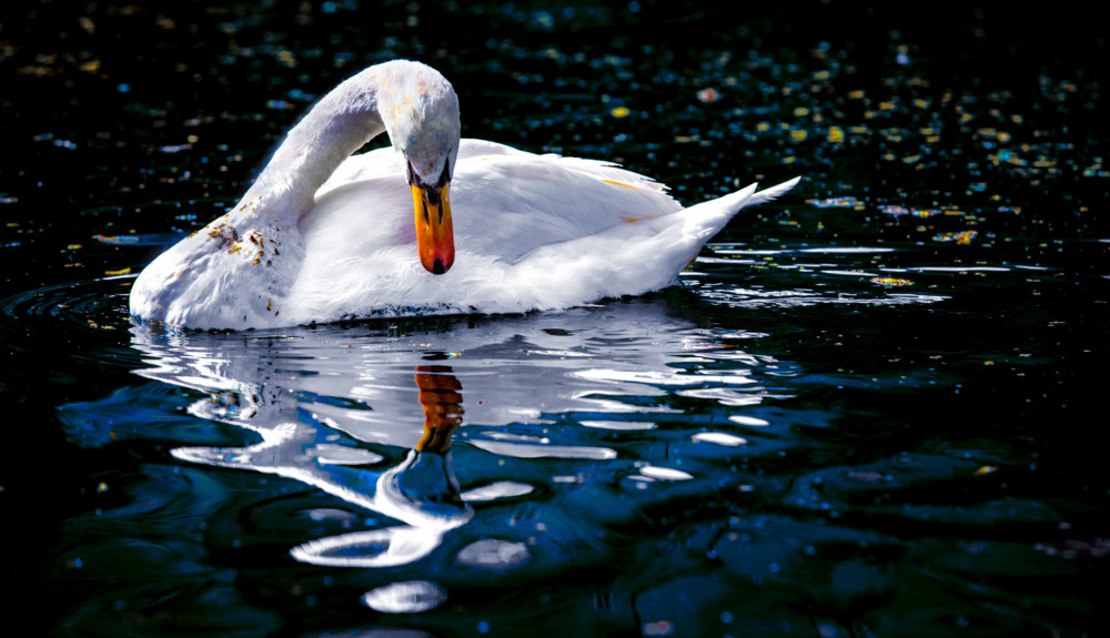 zrkadielko zrkadielko kto je najkrajší.....