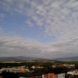 mesto