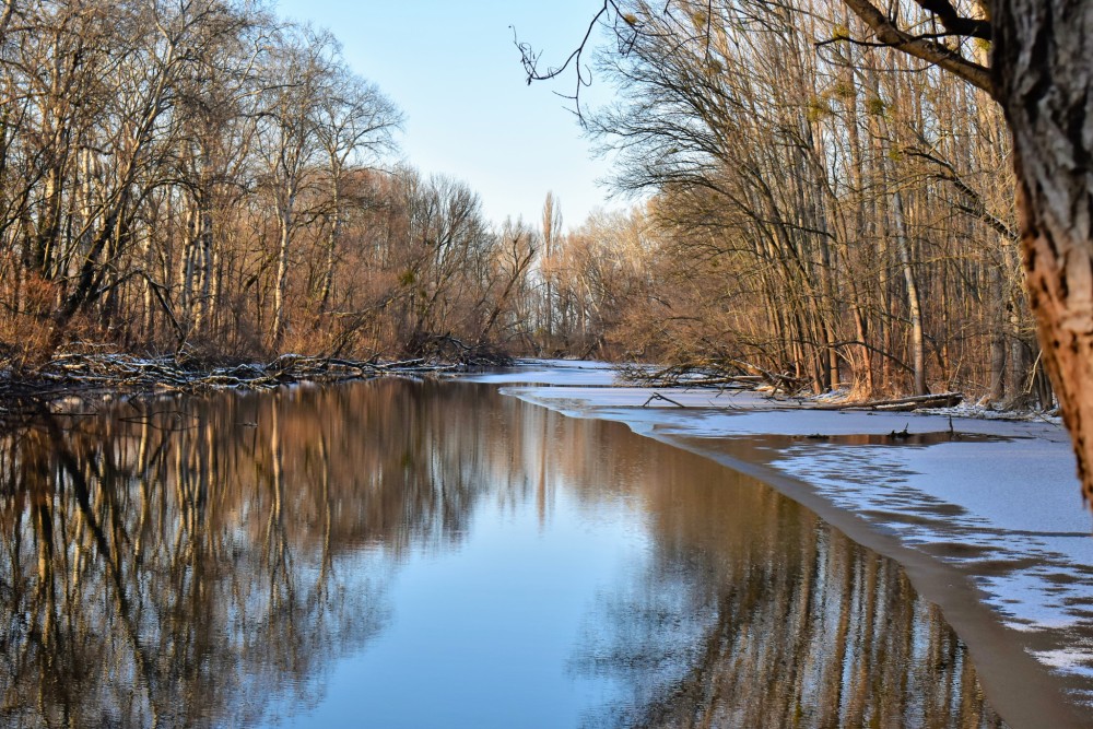 Arm of the Small Danube