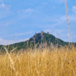 Súľov