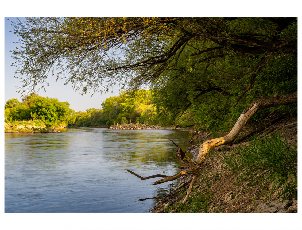 Morava River Slovakia