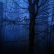 Darkness