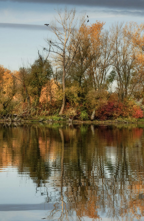 Sedím na konári a je mi dobre…