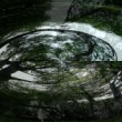 vo víre