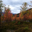 November