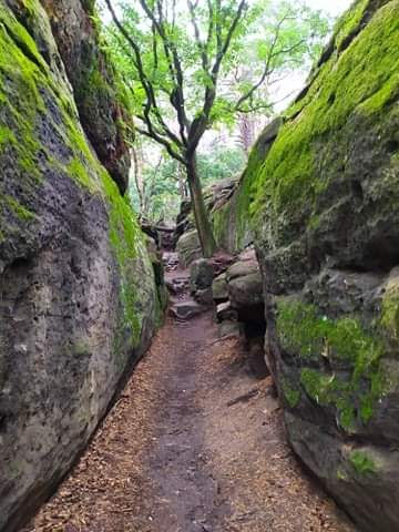 Cestička medzi skalami