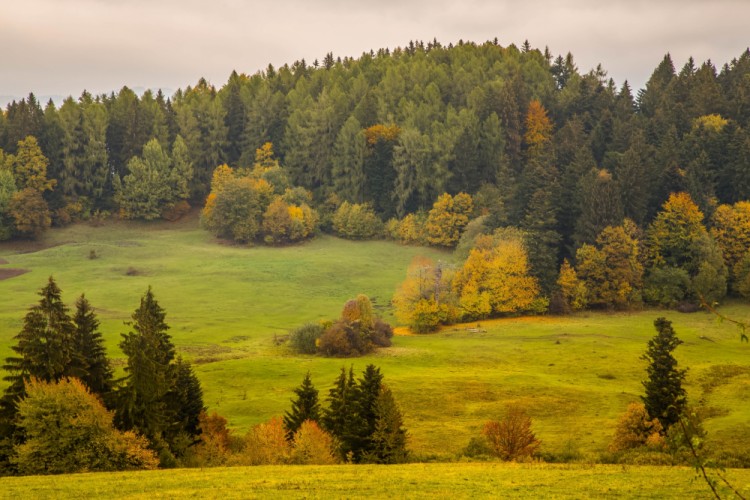 Jesenná nálada.