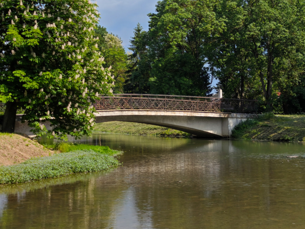Park pri kaštieli v Dolnej Krupej
