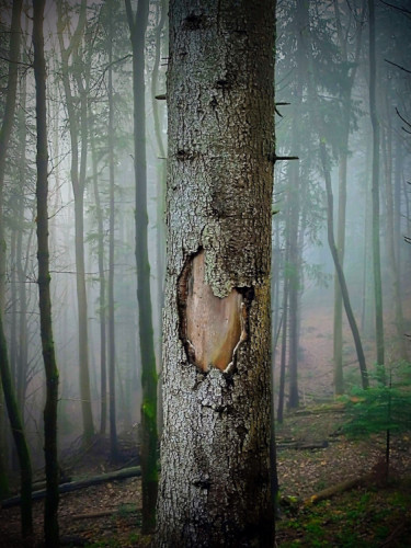 Some hearts grow quietly