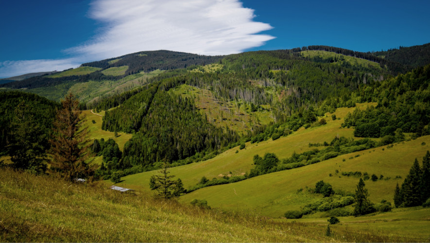 Studničky