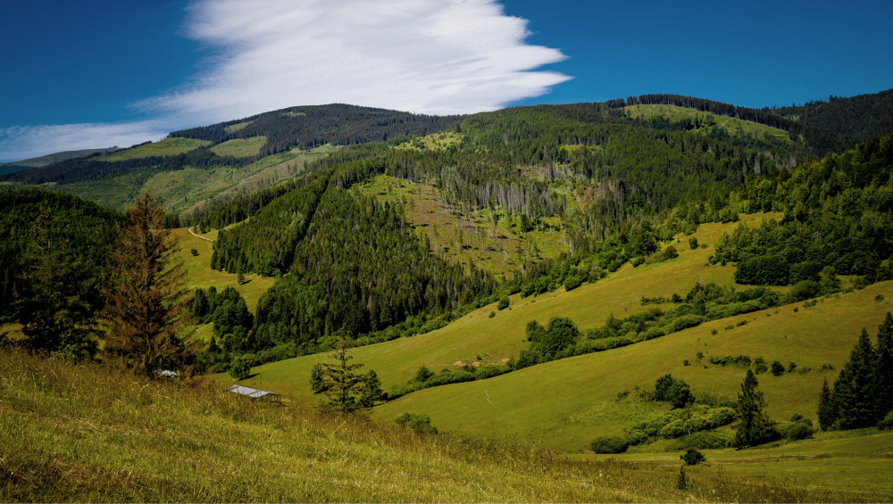 Studničky