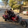 Dice Vita REWACO Altea
