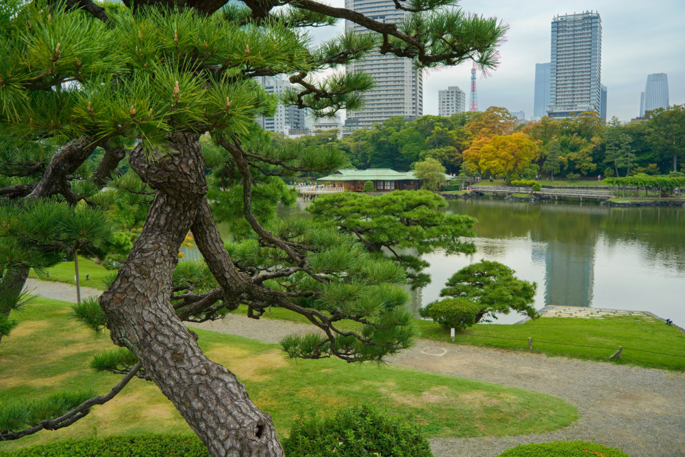 Zelená oáza v objatí mrakodrapov