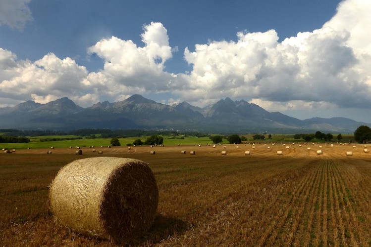 1- septembrová