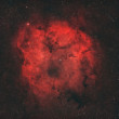 Hmlovina Sloní chobot, IC 1396