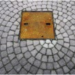Quadrovid
