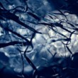 cold night impressions