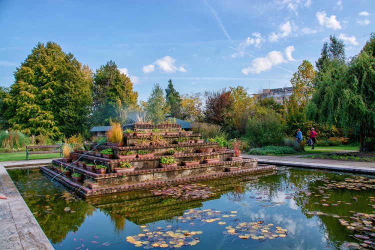Botanická záhrada Košice
