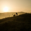 The Fool on the Hill