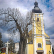 Nemšová