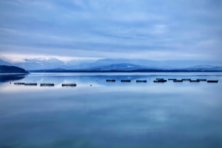 … kůsok pokoja, chladu… severskej krajiny