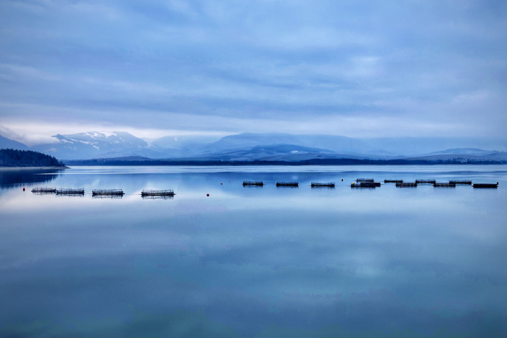 … kůsok pokoja, chladu… severskej krajiny